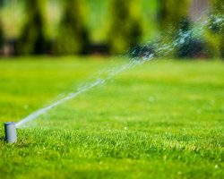6 Key Steps to Prepare Your Lawn for Fall and Winter